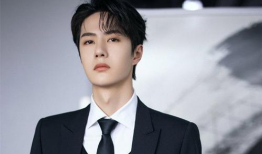 娱乐圈吃瓜肖战王一博,娱乐圈的甜蜜瓜田，揭秘兄弟情深背后的故事